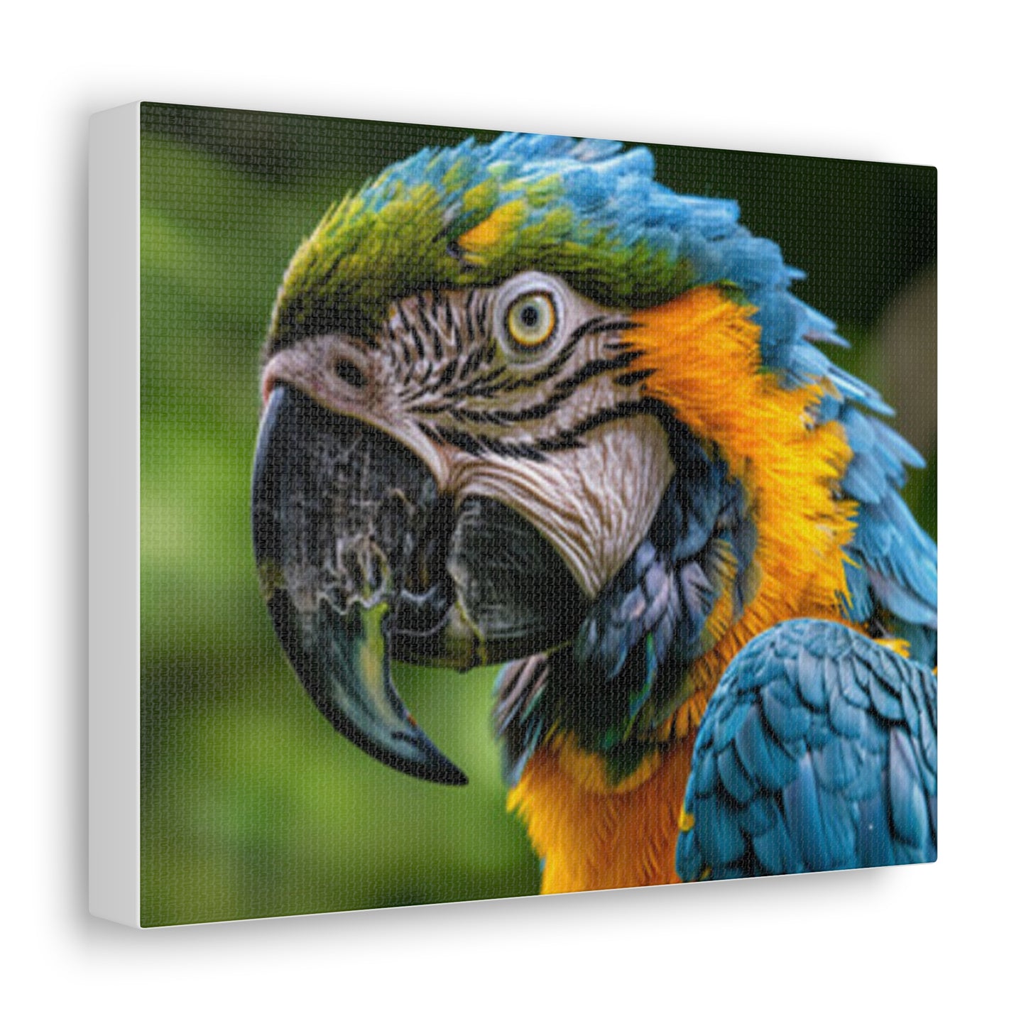 Vibrant Blue Macaw Canvas Gallery Wraps - Stunning Wall Art for Nature Lovers