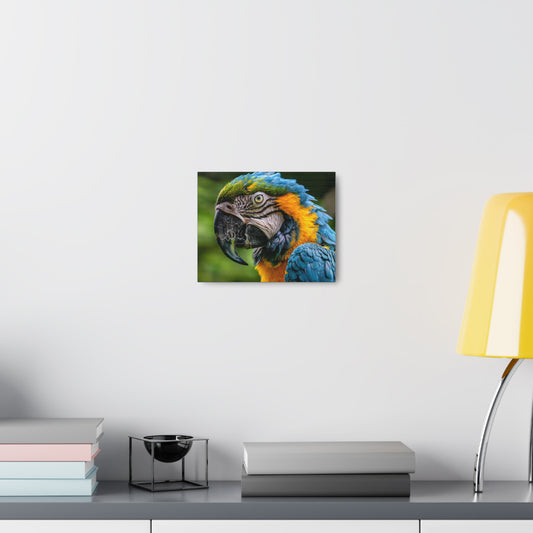 Vibrant Blue Macaw Canvas Gallery Wraps - Stunning Wall Art for Nature Lovers